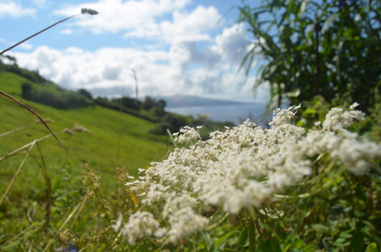 Conceicao Vista Do Pilar公寓 外观 照片